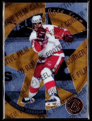 1997 certificato pinnacle - 1997-98,