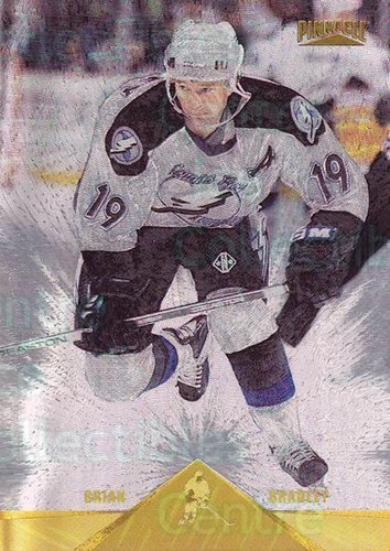 1996 pinnacle rink - pinnacle,