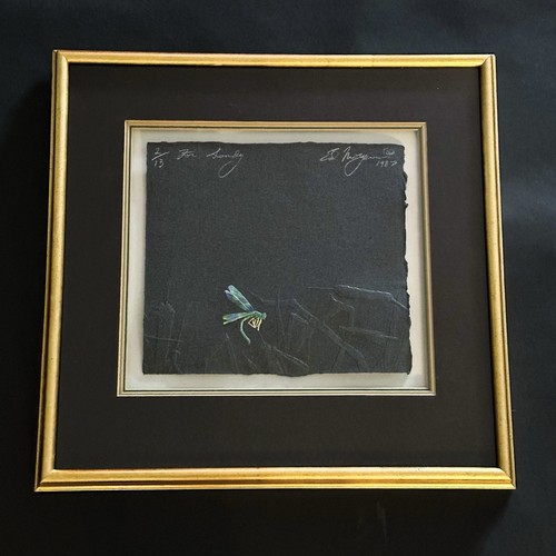 Libellula rilievo artista - rilievo,